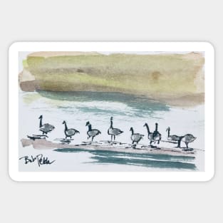 Canada Geese Sticker